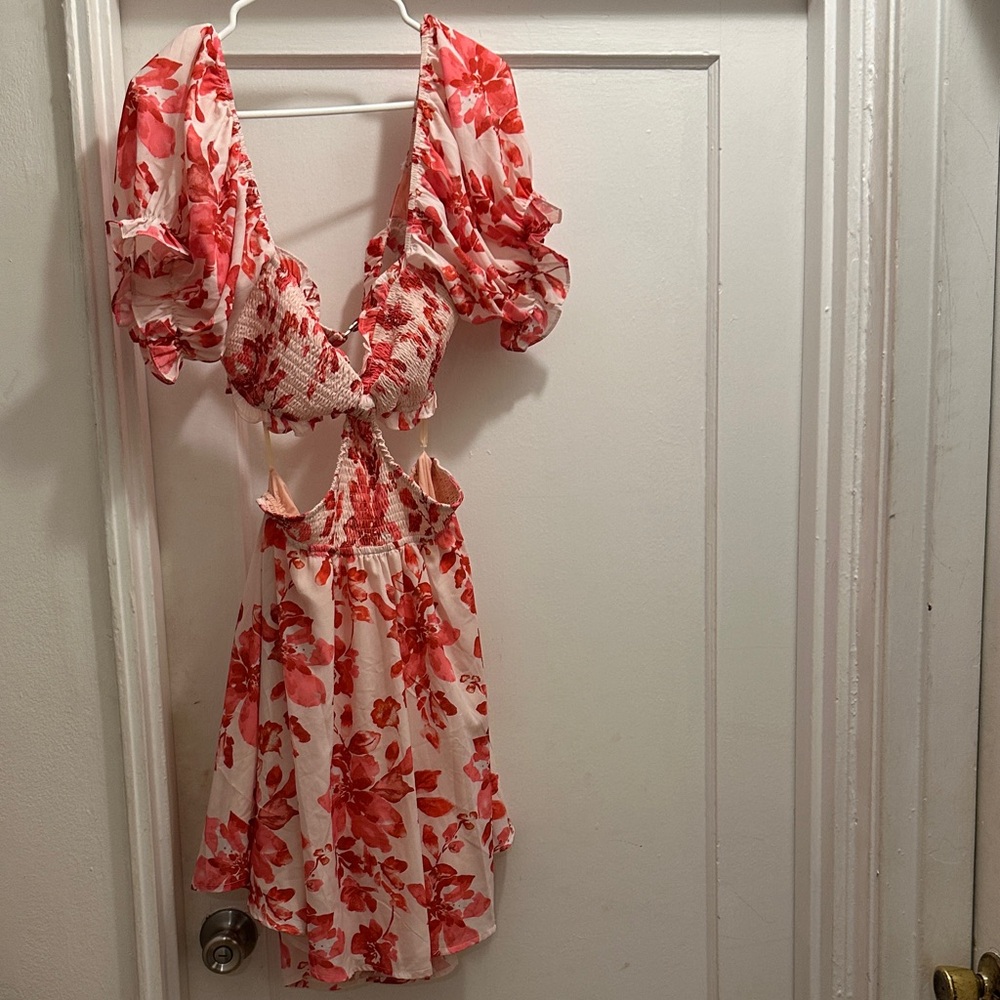 Hello Molly Pink and Red Floral Mini Dress